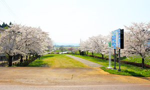 角間川河港跡（親水公園）